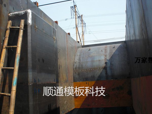 高铁异形墩柱模板